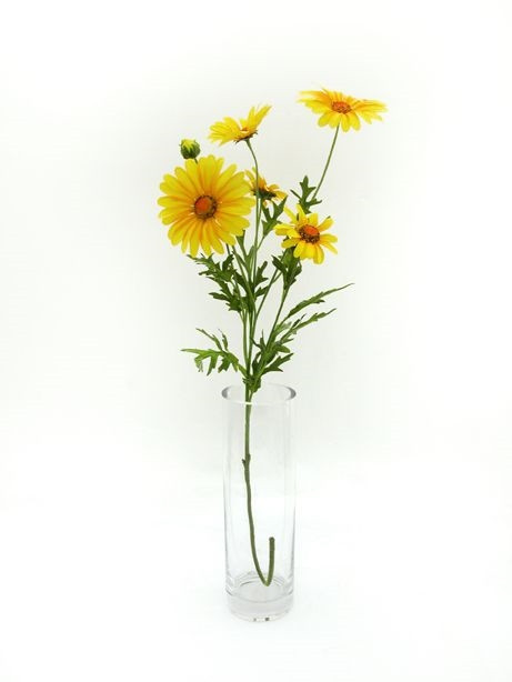 Daisy Spray Yellow 66Cm