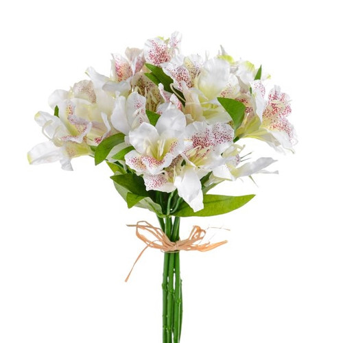 Alstromeria Bundle Cream