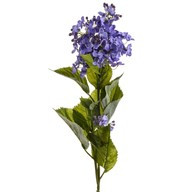 Lilac Purple 76Cm