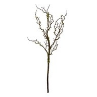 Moss Branch 75Cm
