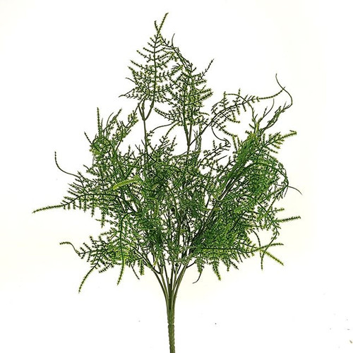 Asparagus Fern Bush 47Cm