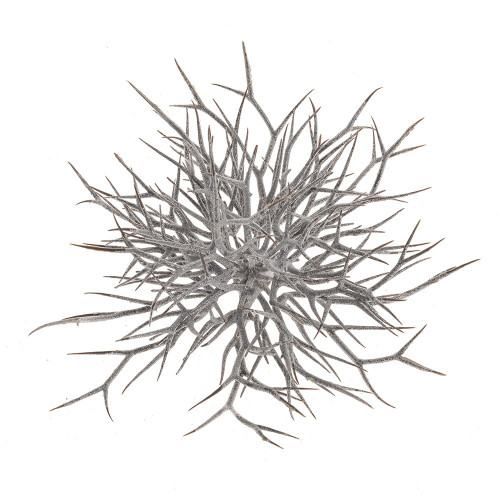 White Wash Glittered Twig Half Ball 30Cm