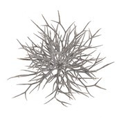 White Wash Glittered Twig Half Ball 30Cm