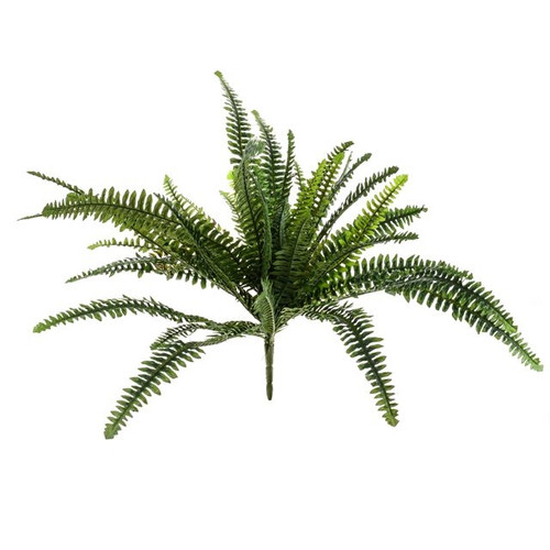 Boston Fern 48 Leaves 76Cm