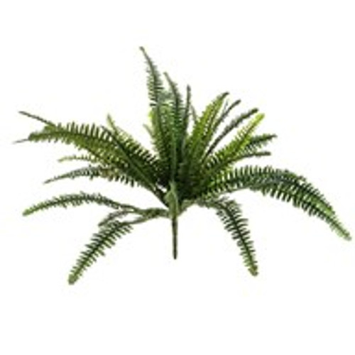 Boston Fern 48 Leaves 76Cm