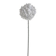 Winter White Allium Stem 62Cm