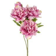 Flora Peony Bush Dark Pink 42Cm
