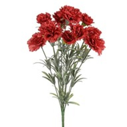Flora Carnation Bush Red
