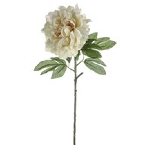 MIA Peony Cream 63Cm