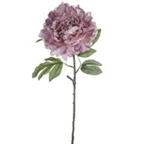 MIA Peony Purple 63Cm