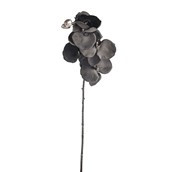 Phalaenopsis Spray Grey 66Cm Hqn