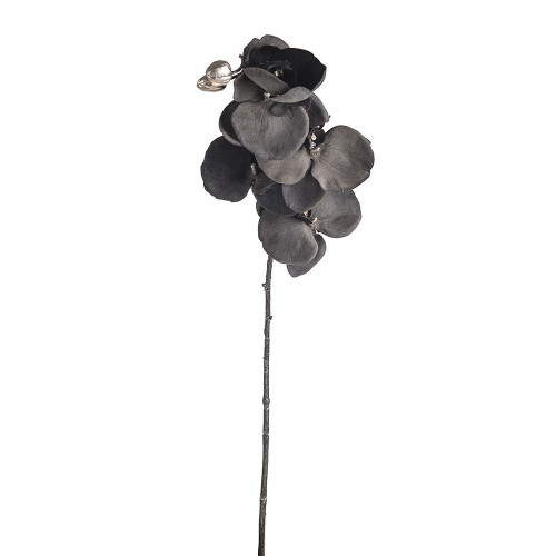 Phalaenopsis Spray Grey 66Cm Hqn