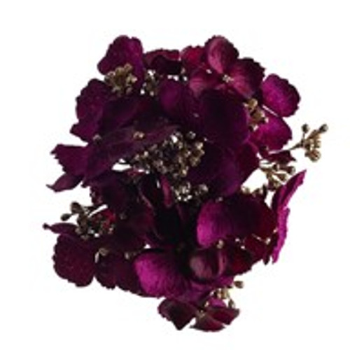 Hydrangea With Clip Purple 12Cm