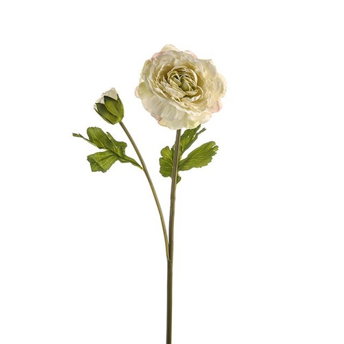 Vintage Ranunculus Cream 48Cm