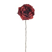 Single Open Rose Red 56Cm