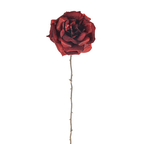 Single Open Rose Red 56Cm