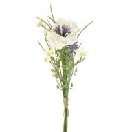 Pansy Wild Flower Bundle Cream