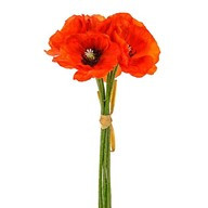 Poppy Bundle Orange X6 Heads 29Cm