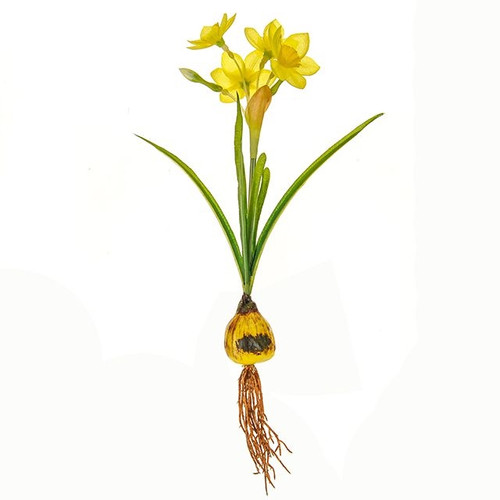 Daffodil With Bulb Yellow 25Cm
