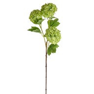 Snowball X3 Green