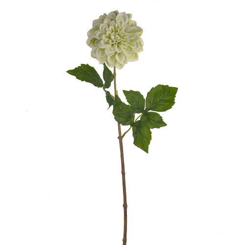DAHLIA STEM LIGHT GREEN 60CM