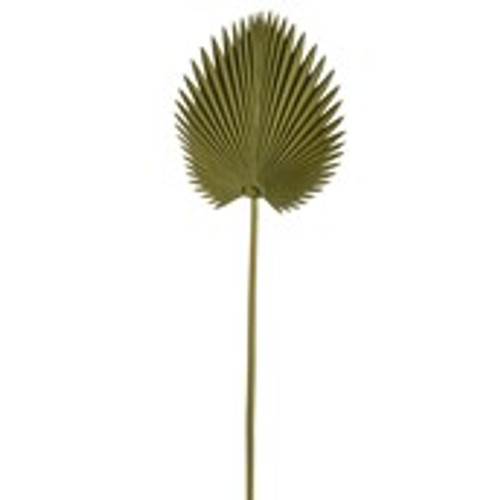 Fan Palm Soft Touch Light Green 75Cm Fan Palm Soft Touch Light Green 75Cm