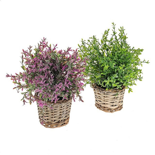 Potted Herb In Basket 2Ast