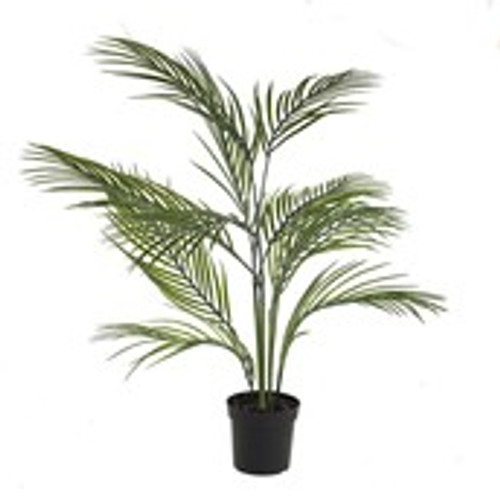 Potted Areca Palm 84Cm Potted Areca Palm 84Cm