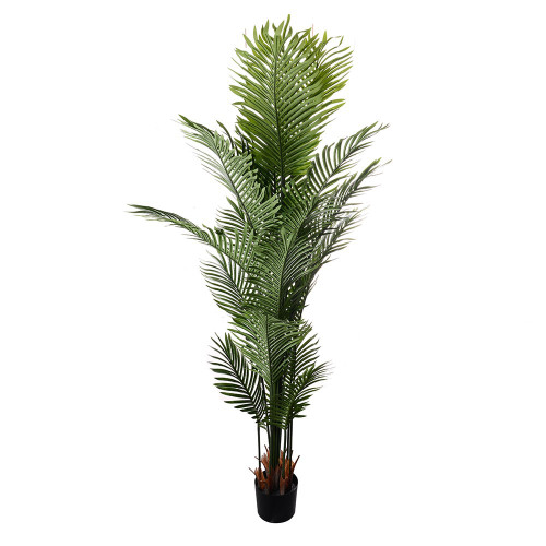 Potted Palm Tree 180cm