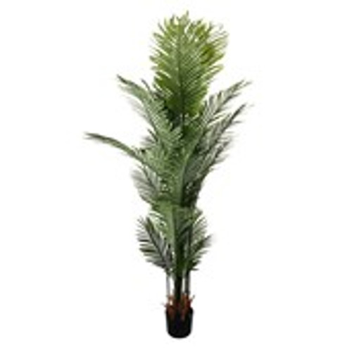 Potted Palm Tree 180cm Potted Palm Tree 180cm