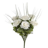Julie Rose Bush Ivory W Grass