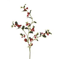 Holly Leaves Varigated Med