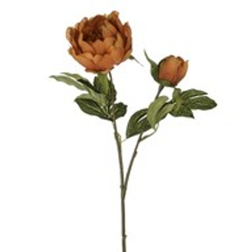 Harvest Peony Orange 50Cm Harvest Peony Orange 50Cm