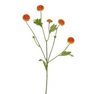 Aster Spray Orange 64Cm