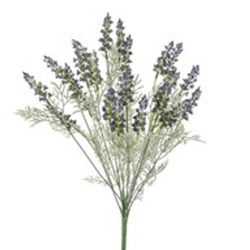 Flora Lavender Bush Purp 45Cm
