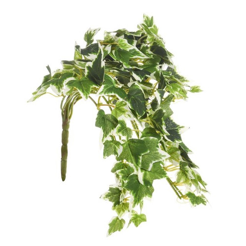 Basic Ivy Trail Bush Vgtd 33Cm