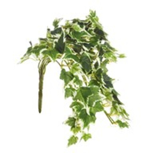 Basic Ivy Trail Bush Vgtd 33Cm