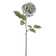MIA Rose Grey Blue 56Cm