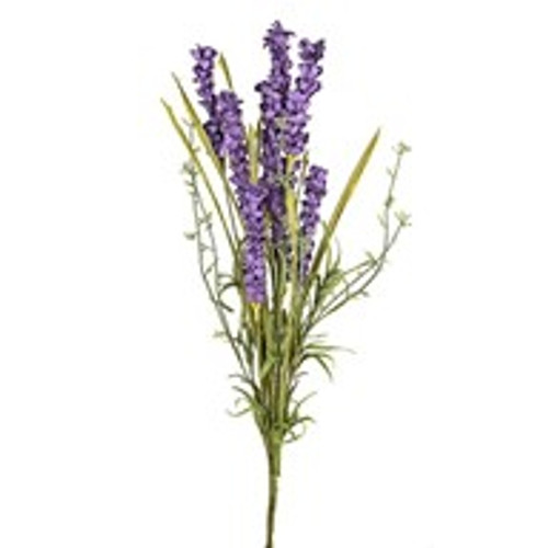 English Heath Wild Flower Grass Purple English Heath Wild Flower Grass Purple
