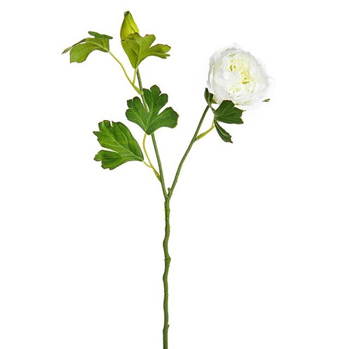 Dolly Ranunculus Spray Cream 42Cm