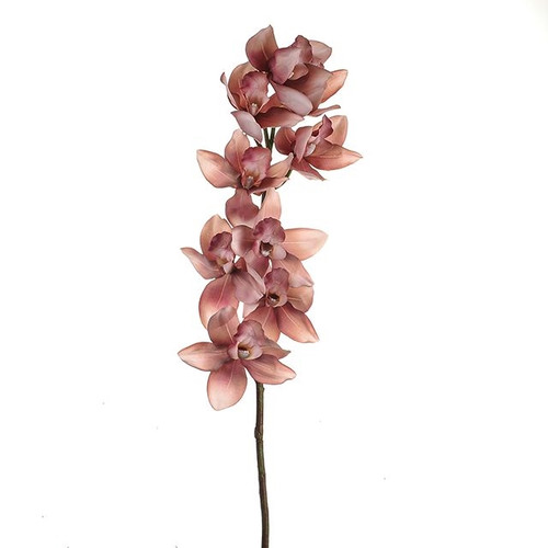 Anna Cymbidium Orchid Light Pink 88Cm