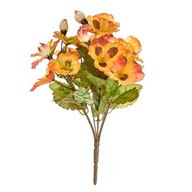 Pansy Bush Orange