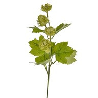 Hop Pick Green 33Cm