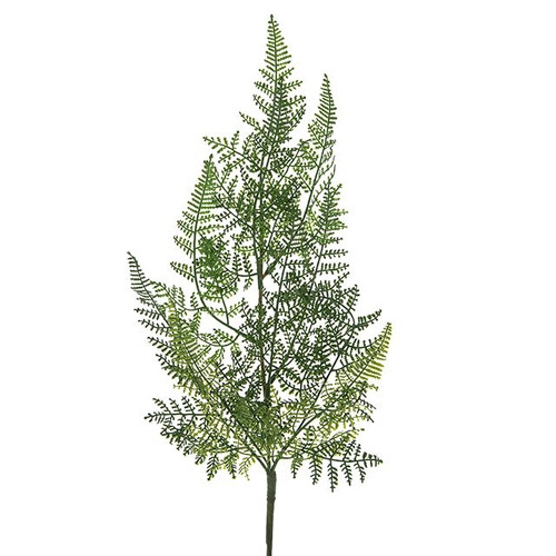 Lace Fern Spray 48Cm