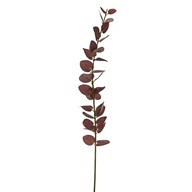Eucalyptus Stem Burgandy