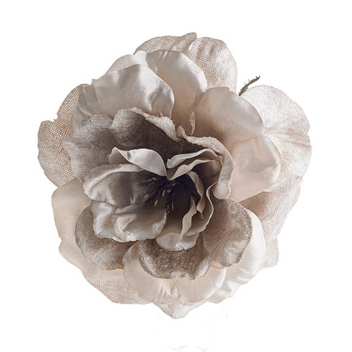 Rose With Clip Champagne