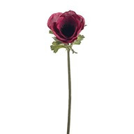 Olivia Anemone Stem Burgundy 38Cm