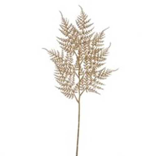 Asparagus Spray Gold 77Cm