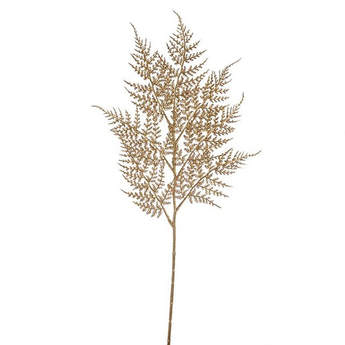 Asparagus Spray Gold 77Cm