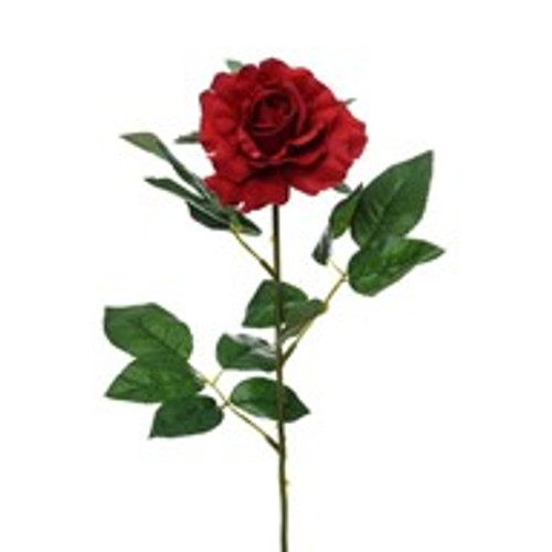 Premium Rose Medium Red